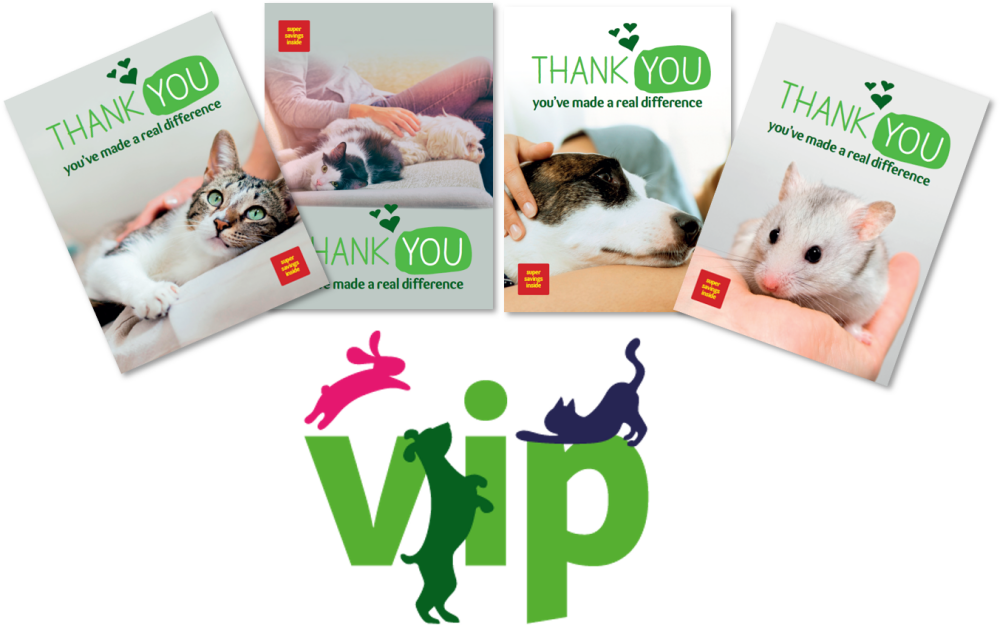 T-5f742cd97a11e-pets-at-home-vip-club-imagery_5f742cd97982d.png