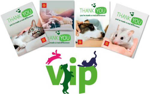 T-cHJldmlldw%3D%3D-5f742cd97a11e-pets-at-home-vip-club-imagery_5f742cd97982d.png