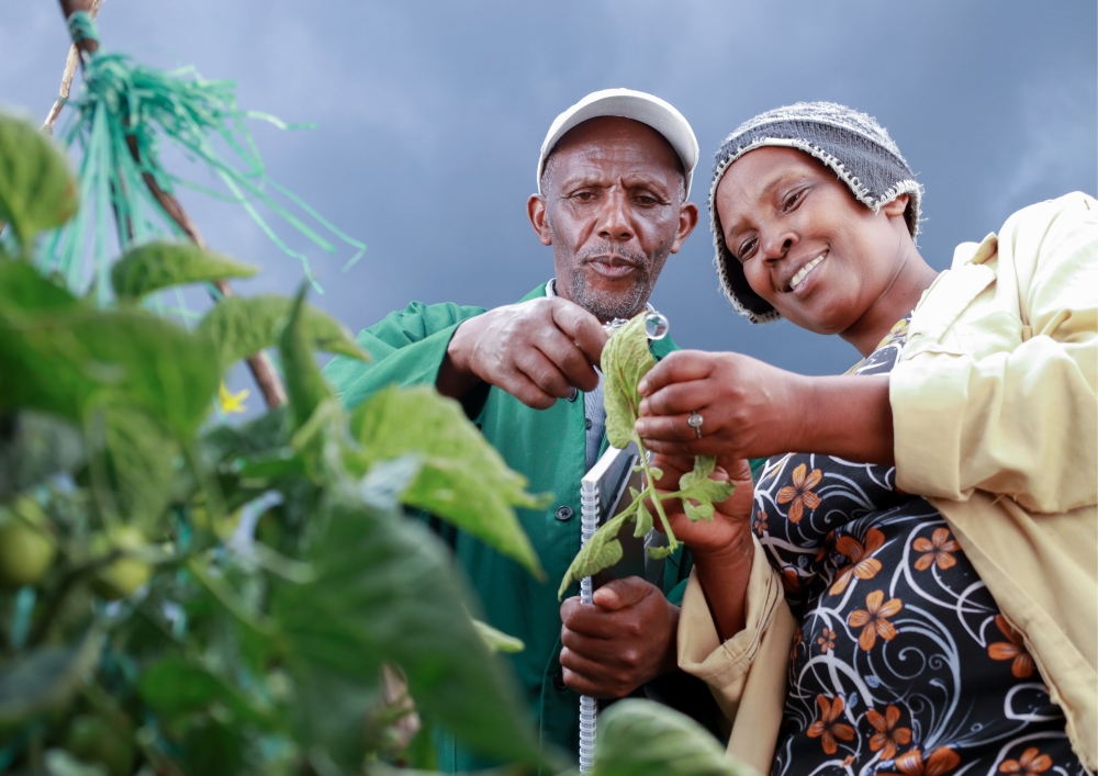 T-cabi-farmer-and-extension-worker---cabi.jpg