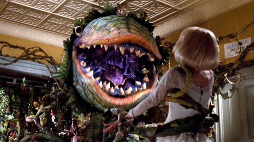 T-little-shop-of-horrors-watching-videosixteenbyninejumbo1600-v2-460.jpg