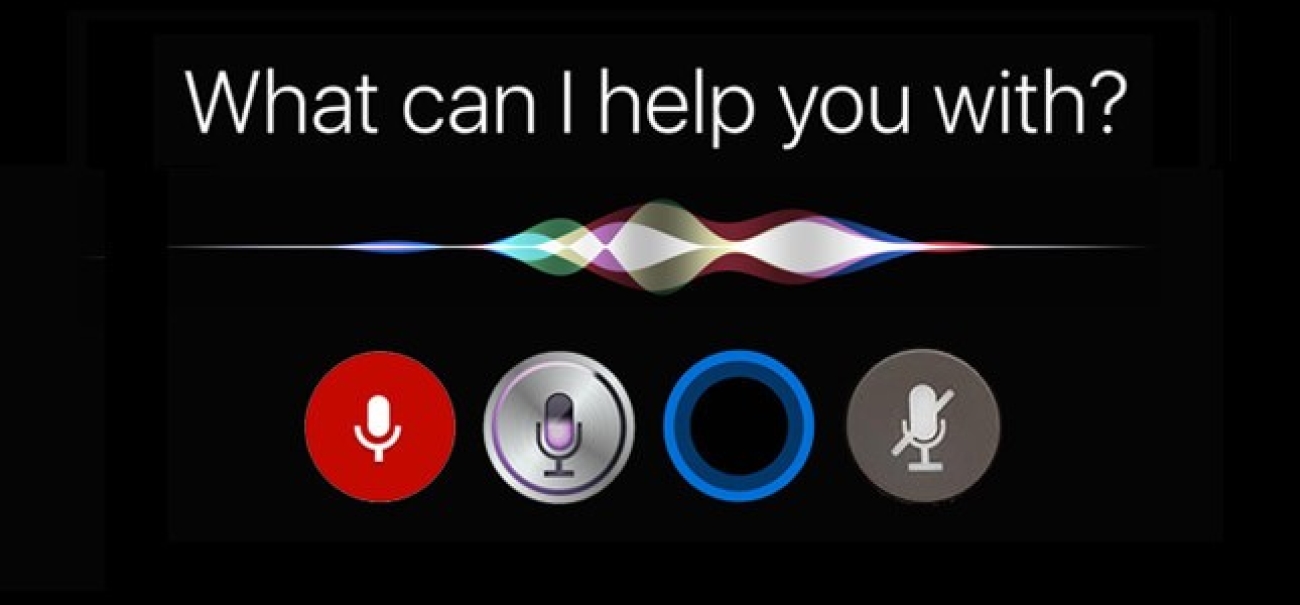 3 voices. Voice search.