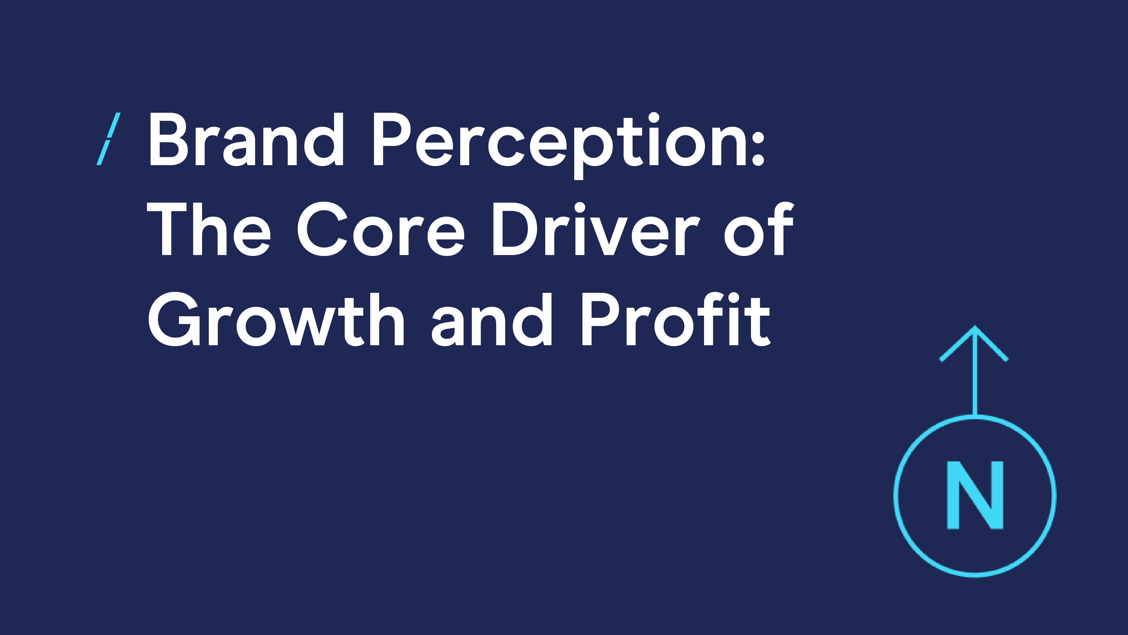 Web Image-Brand Perception-The Core Driver of Growth and Profit.png