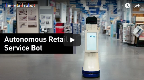 Lowes robot